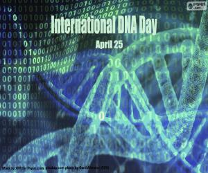пазл Международный день ДНК